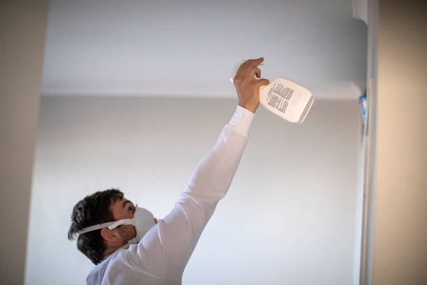 Best Emergency Mold Removal  in Wakeeney, KS