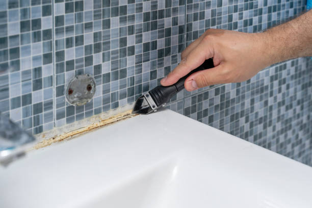 Mold Testing and Removal in Wakeeney, KS