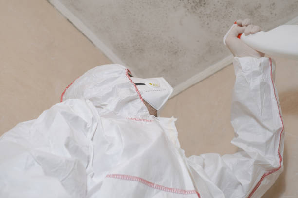 Best Mold Testing  in Wakeeney, KS