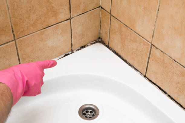 Best Local Mold Removal Service  in Wakeeney, KS
